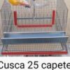 Cusca prepelite ouatoare 25 de capete