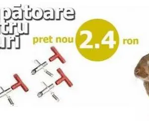 Adăpători automate pentru iepuri și chinchila