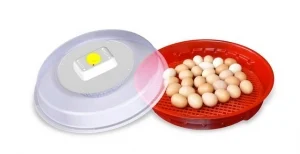Incubator puișor nou IO-102
