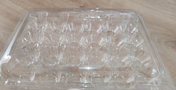 Caserole ouă de prepeliță 24 bucăți, plastic transparent