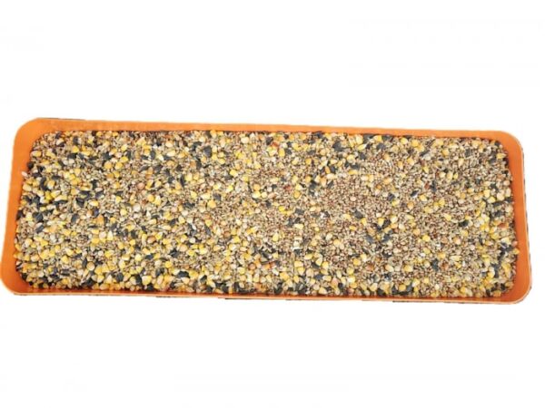Hrănitor semiautomat păsări 60 cm, capacitate 8 kg